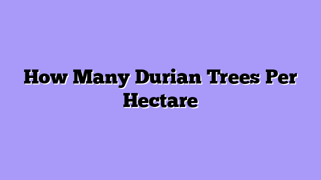 How Many Durian Trees Per Hectare