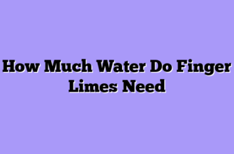 How Much Water Do Finger Limes Need