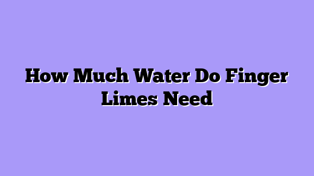 How Much Water Do Finger Limes Need