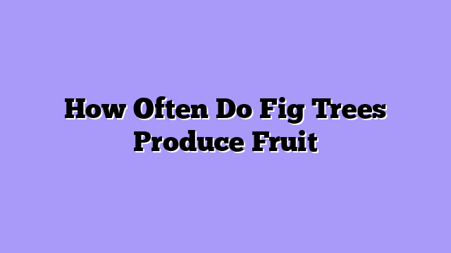 How Often Do Fig Trees Produce Fruit