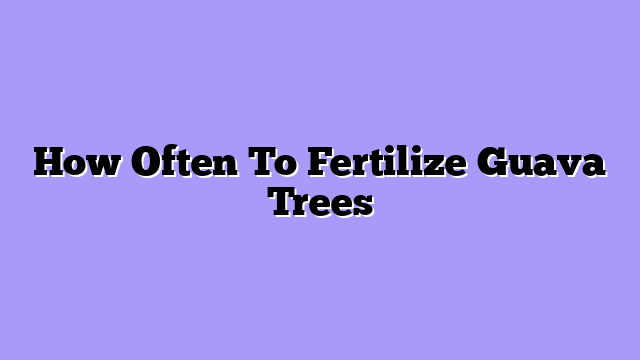 How Often To Fertilize Guava Trees