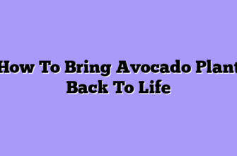 How To Bring Avocado Plant Back To Life