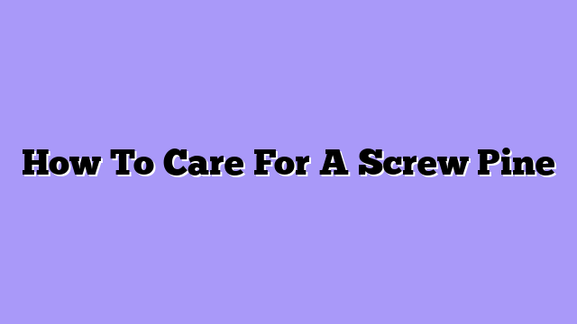 How To Care For A Screw Pine