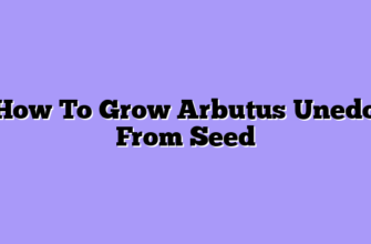 How To Grow Arbutus Unedo From Seed