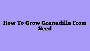How To Grow Granadilla From Seed