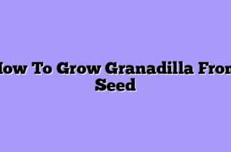 How To Grow Granadilla From Seed