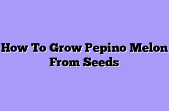 How To Grow Pepino Melon From Seeds