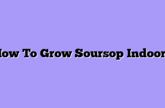 How To Grow Soursop Indoors