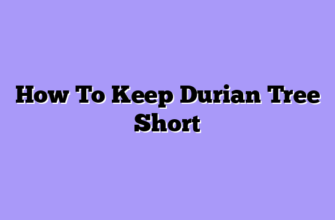 How To Keep Durian Tree Short