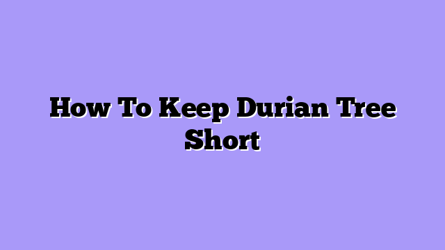 How To Keep Durian Tree Short