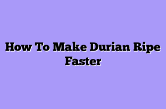 How To Make Durian Ripe Faster