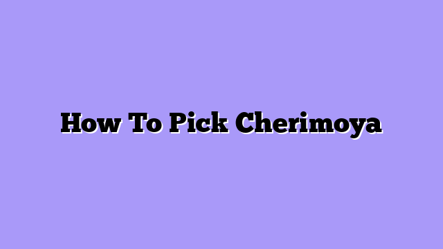 How To Pick Cherimoya