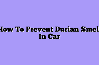 How To Prevent Durian Smell In Car