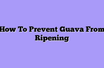 How To Prevent Guava From Ripening