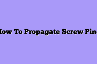 How To Propagate Screw Pine