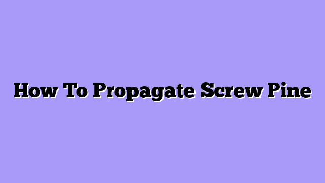 How To Propagate Screw Pine