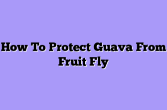 How To Protect Guava From Fruit Fly