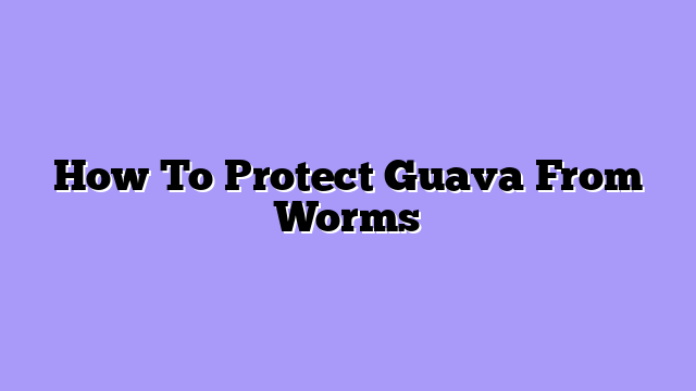 How To Protect Guava From Worms