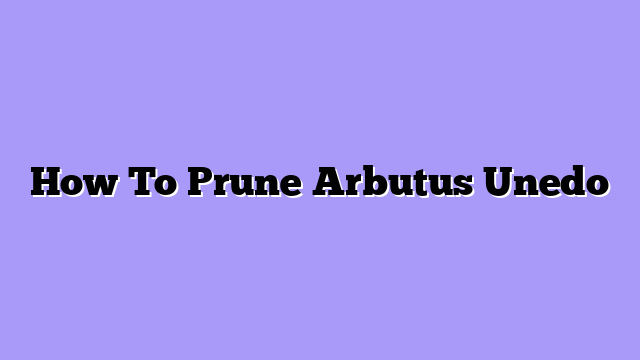 How To Prune Arbutus Unedo