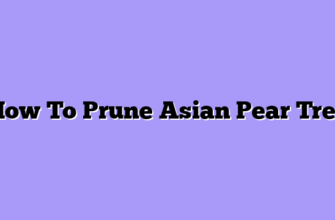 How To Prune Asian Pear Tree