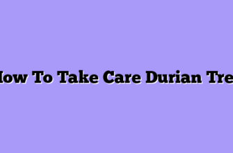 How To Take Care Durian Tree