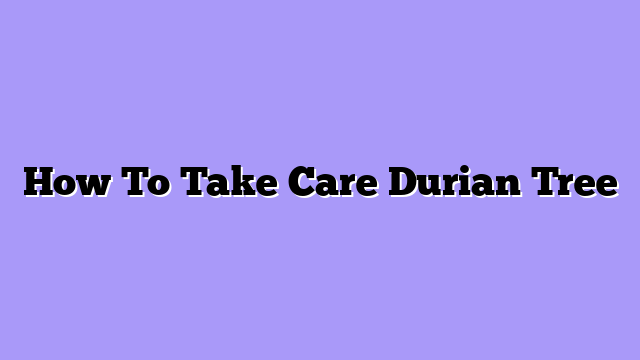 How To Take Care Durian Tree