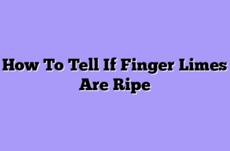 How To Tell If Finger Limes Are Ripe