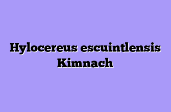Hylocereus escuintlensis Kimnach
