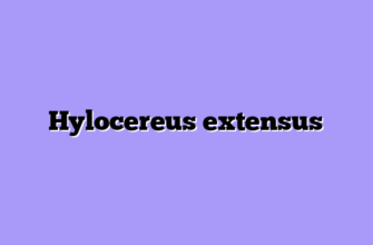 Hylocereus extensus