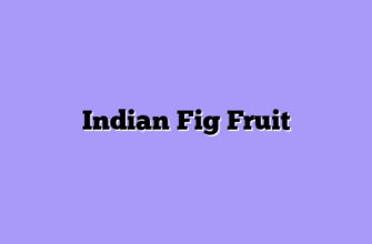 Indian Fig Fruit