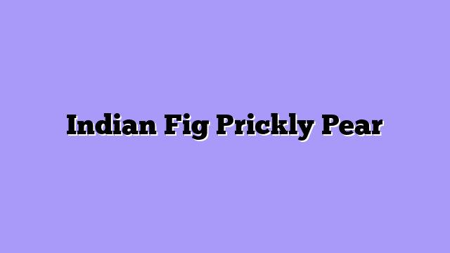Indian Fig Prickly Pear