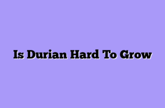 Is Durian Hard To Grow