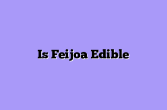 Is Feijoa Edible