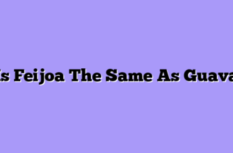 Is Feijoa The Same As Guava