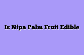 Is Nipa Palm Fruit Edible