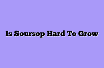 Is Soursop Hard To Grow