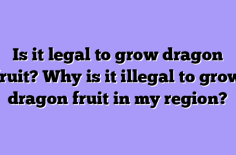 Is it legal to grow dragon fruit? Why is it illegal to grow dragon fruit in my region?