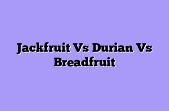 Jackfruit Vs Durian Vs Breadfruit