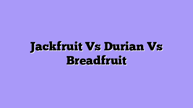 Jackfruit Vs Durian Vs Breadfruit