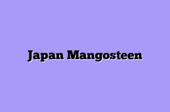 Japan Mangosteen