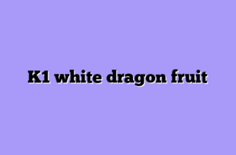 K1 white dragon fruit