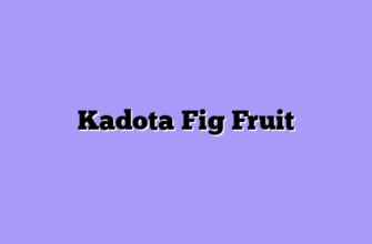 Kadota Fig Fruit
