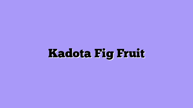 Kadota Fig Fruit