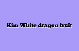 Kim White dragon fruit