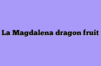 La Magdalena dragon fruit