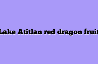 Lake Atitlan red dragon fruit