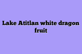 Lake Atitlan white dragon fruit