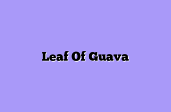 Leaf Of Guava