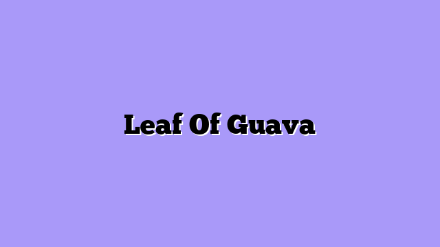 Leaf Of Guava
