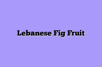 Lebanese Fig Fruit